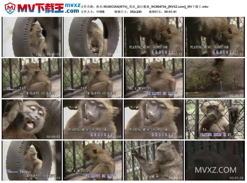 佚名-MUSICIAN(MTV)_英语_流行歌曲_MC804734